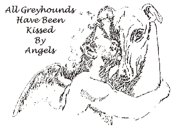 All Greyhounds Have Been Kissed By Angels