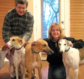 Violet with her new greyhound sisters Heaven and Kiki.