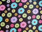 Daisies on Black